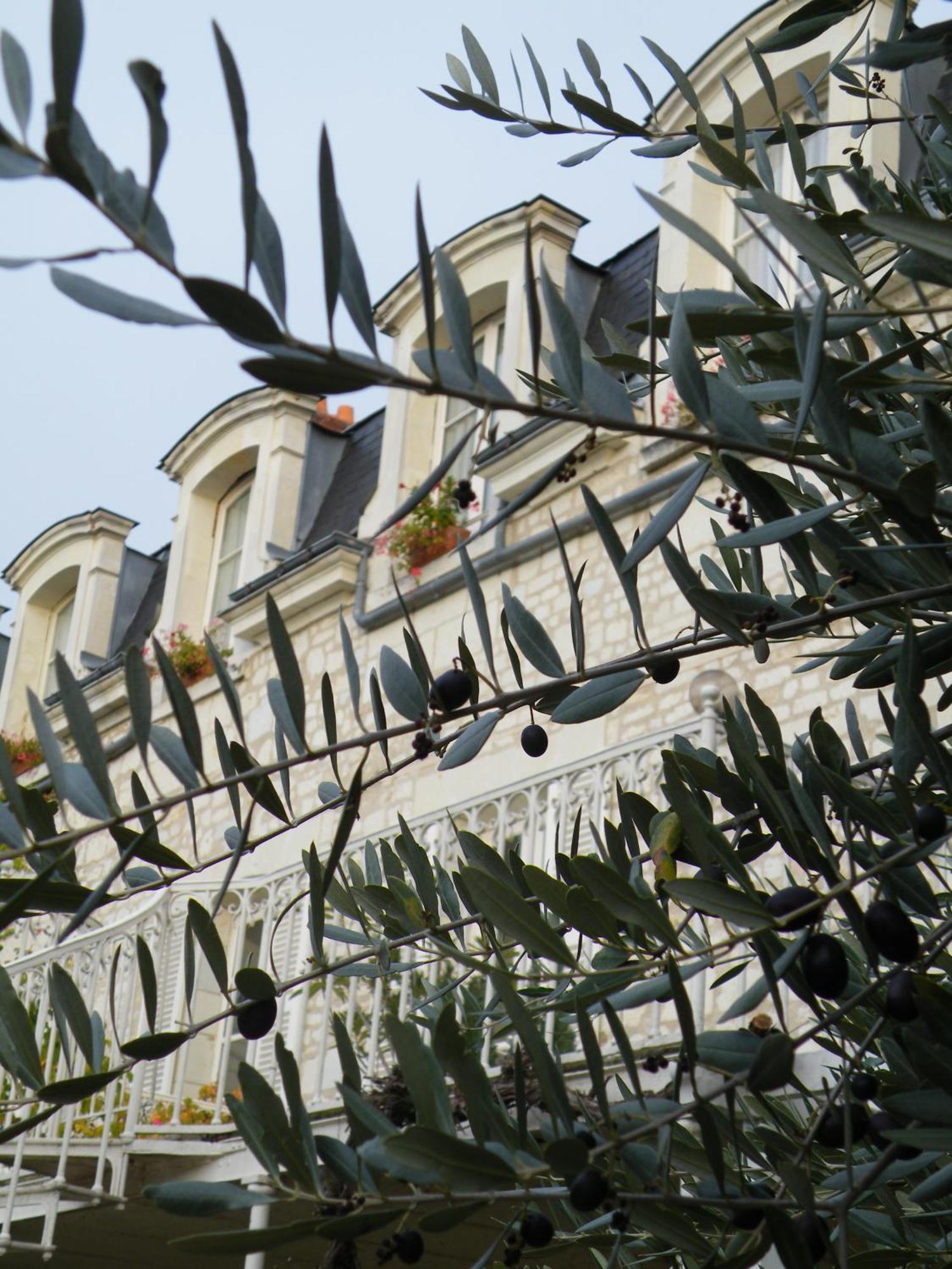 Hotel Diderot Chinon Exteriér fotografie